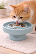 ظرف ارام خور گربه سرامیکی