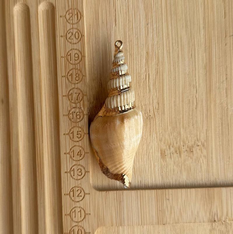 صدف طبیعی