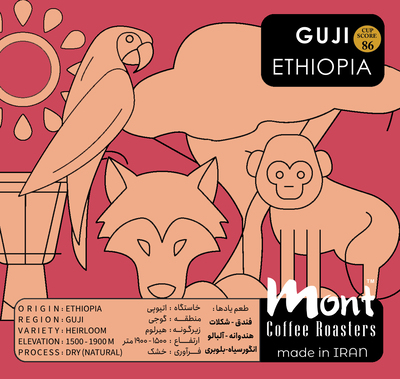 قهوه اتیوپی گوجی - (تخصصی، اسپشالتی)   _ (Ethiopia Guji (Specialty