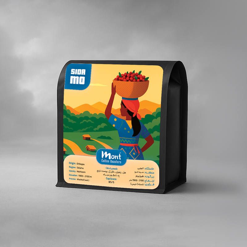 قهوه تخصصی اتیوپی سیدامو – Ethiopia Sidamo (Washed)