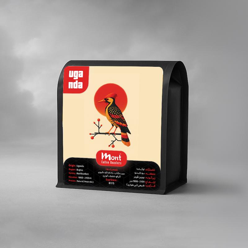 قهوه تخصصی اوگاندا بوگیسو – Uganda Bugisu (Anaerobic Natural)