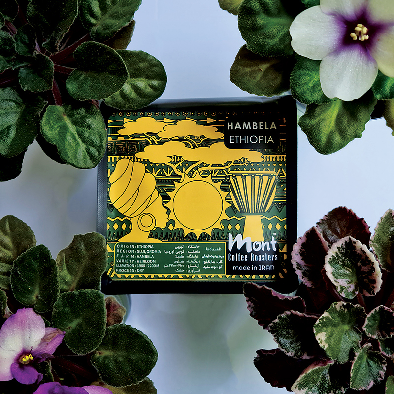 قهوه اتیوپی هامبلا (تخصصی، اسپشالتی) - (Ethiopia Hambela (Specialty