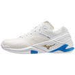کفش هندبال Mizuno - ویو استلث نئو