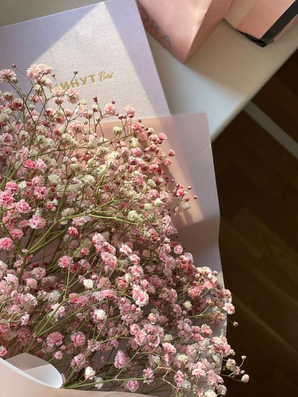 گل ژیپسوفیلا V254