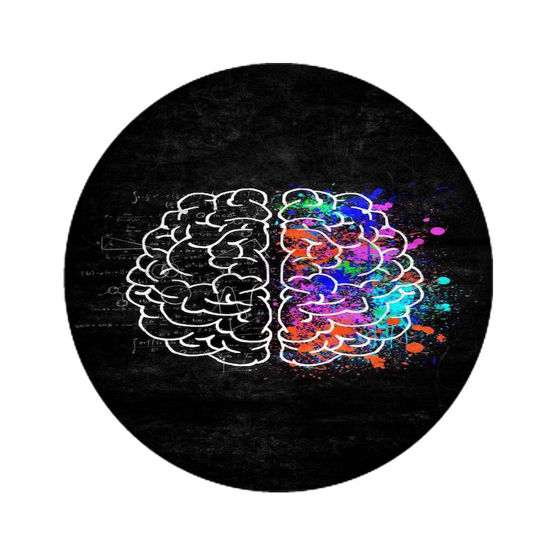مغز، موندیکس، اکسسوری