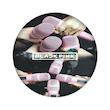 Black pink، خواننده، اکسسوری