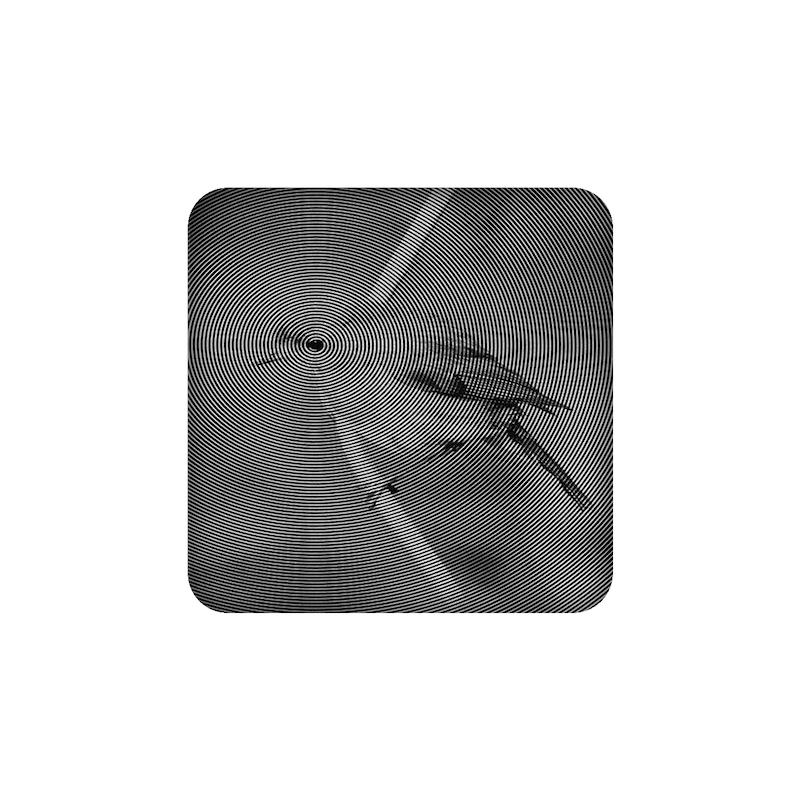 پرنده، آینه فانتزی، اکسسوری