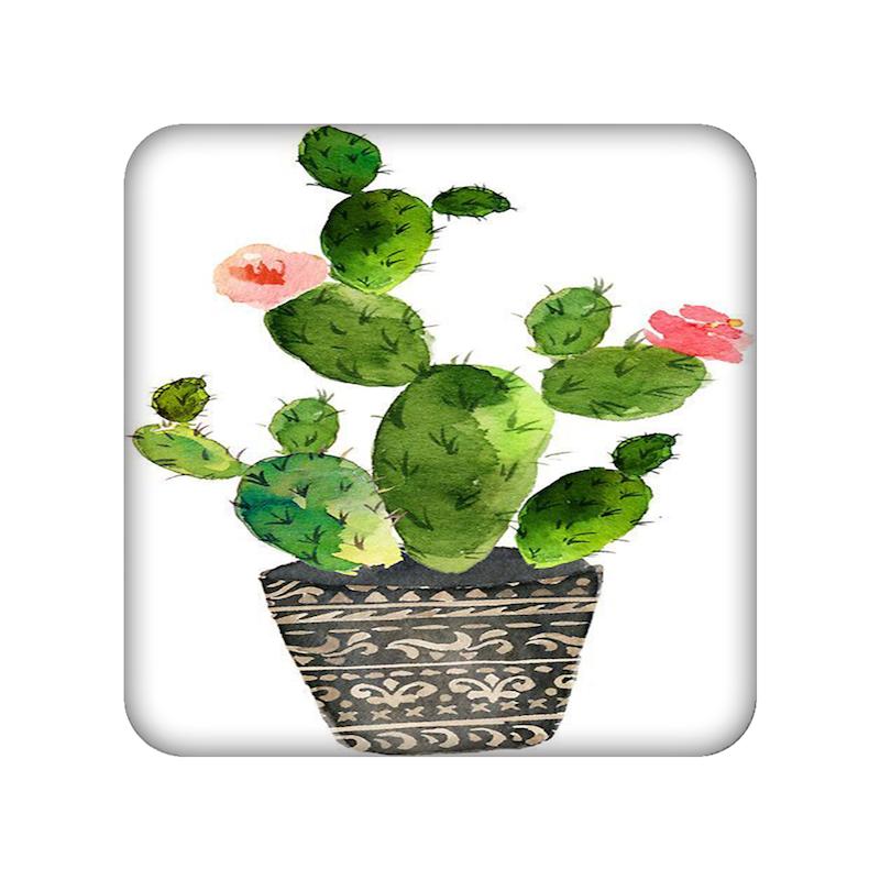 کاکتوس، آینه فانتزی، مندیکس