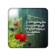 شعر نوشته، مندیکس، اکسسوری