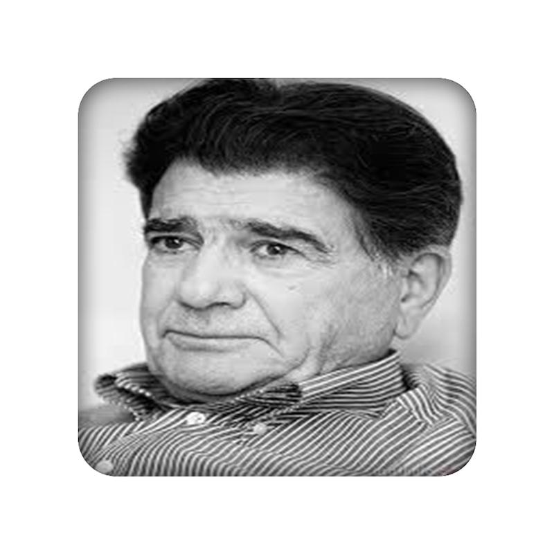شجریان، اکسسوری، مندیکس