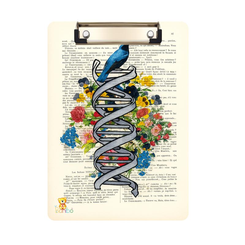 تخته شاسی طرح DNA کد 2731