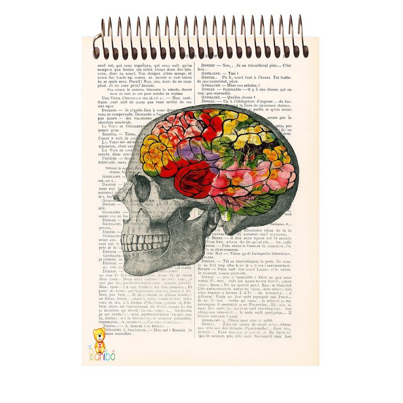 دفتر شطرنجی 100 برگ طرح مغز کد 2749