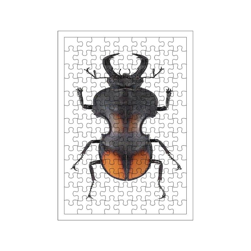 پازل طرح حشره کد 820