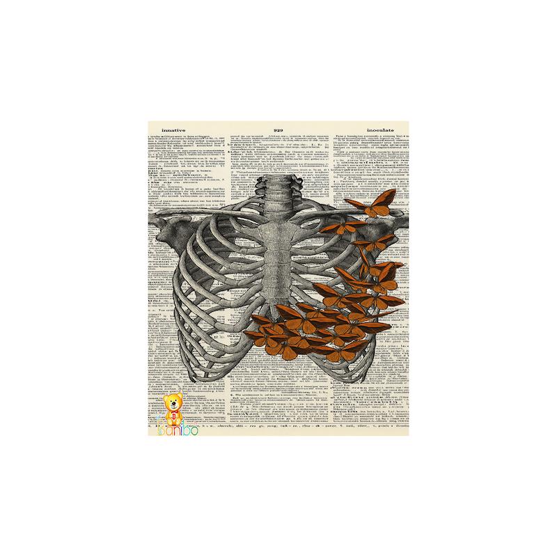 تابلو شاسی طرح قفسه سینه کد 226