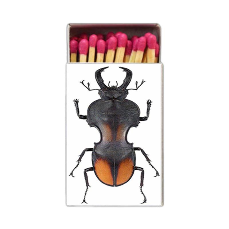 سوسک ، حشره ، اکسسوری
