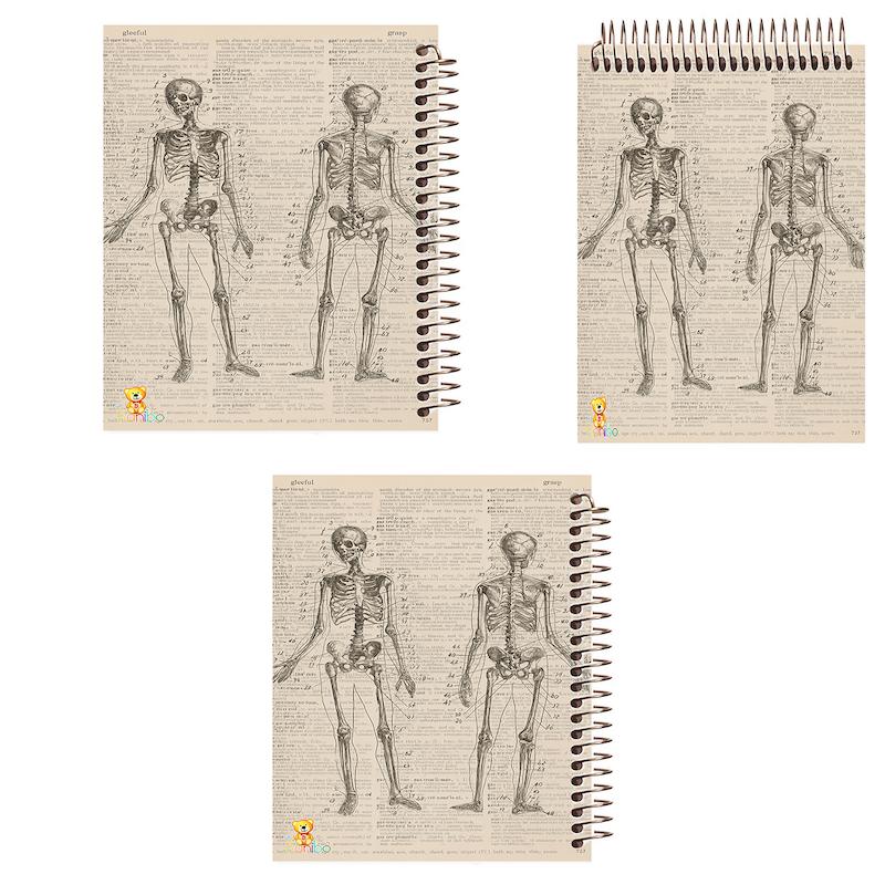 ست دفتر نقاشی، شطرنجی و مشق 100 برگ طرح اسکلت کد 2780