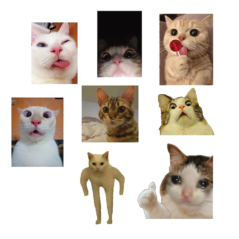 مجموعه استیکر طرح گربه
