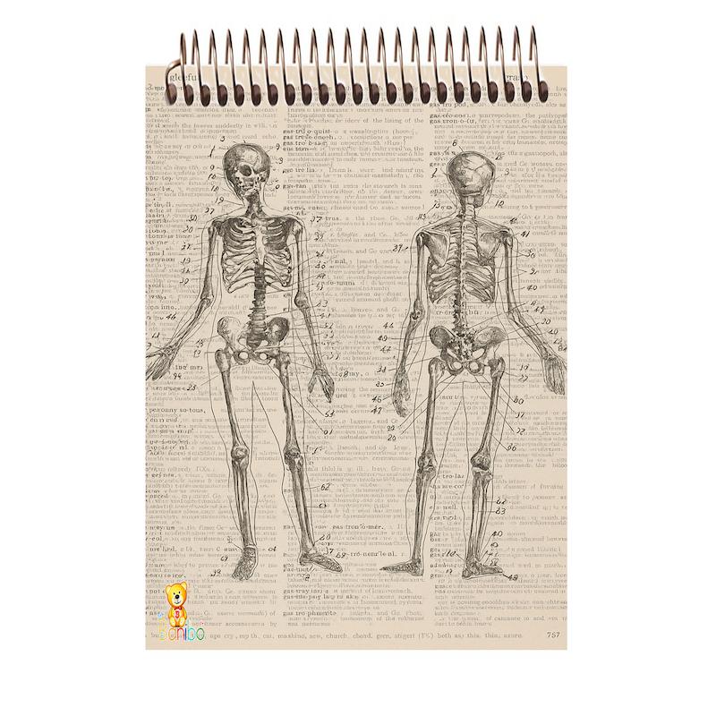 دفترچه مشق طرح اسکلت کد 2780 سایز A7