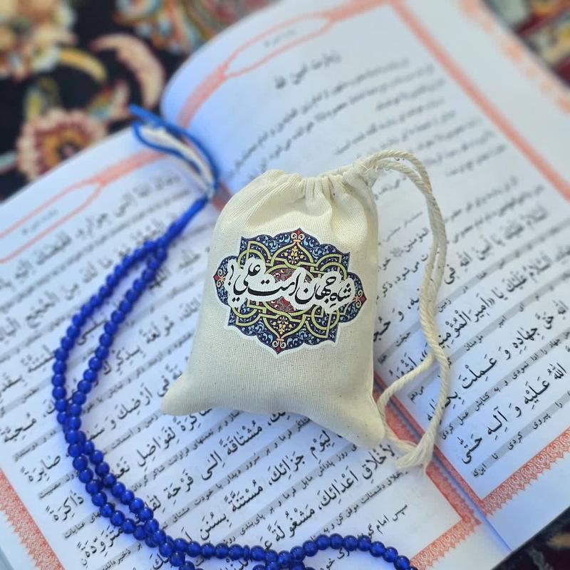 کیسه پارچه ای شاه جهان است علی