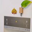 مگنت حسین و گنبد
