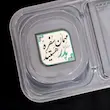 برچسب اقتصادی غذا مهمان سفره پدر هستید 