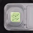 برچسب اقتصادی غذا مهمان سفره مولا هستید (s70296)