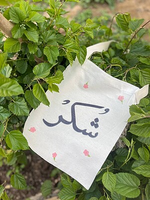 کیسه پارچه‌ای توت بگ شُکر (۱۰۹۱)