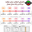 چکمه ایمنی مدل ممتاز رنگ مشکی