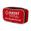 کیف کمک های اولیه حیات