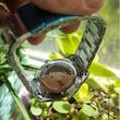 ساعت مچی مردانه سیکو مدل SEIKO 5 صفحه مشکی