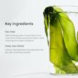 ماسک ورقه‌ای (بسته ۴ عددی) بایودنس سبز مدل Refreshing Sea Kelp