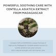 کرم مرطوب کننده هیالو سیکا سنتلا ماداگاسکار اسکین 1004 مدل Madagascar Centella Hyalu-Cica Moisture Cream