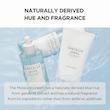 کرم مرطوب کننده هیالو سیکا سنتلا ماداگاسکار اسکین 1004 مدل Madagascar Centella Hyalu-Cica Moisture Cream