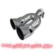 سر اگزوز دولول شکاری