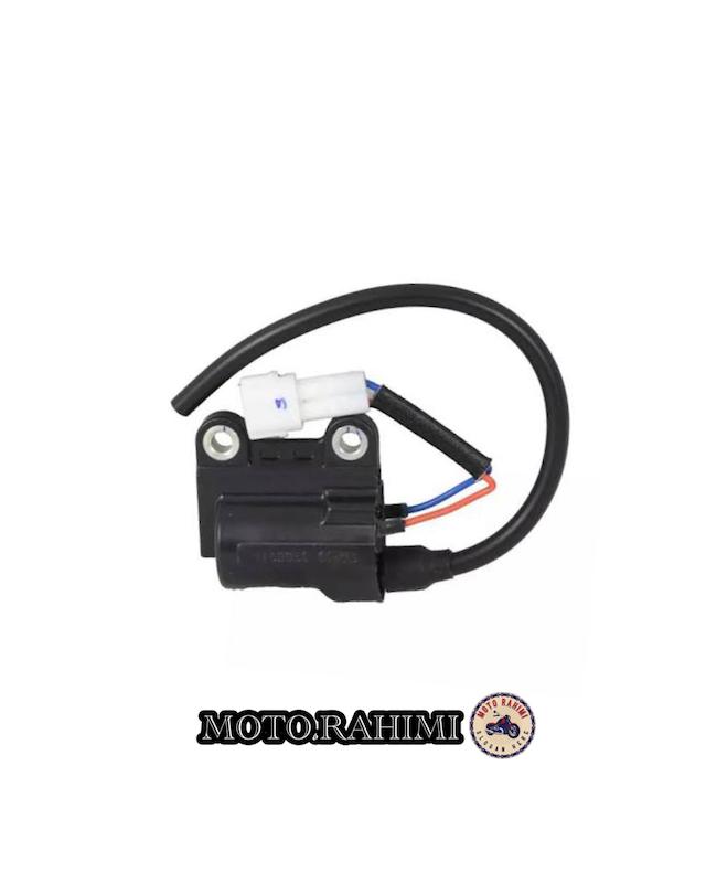 کوئل ویگو کاربرات (اصلی)