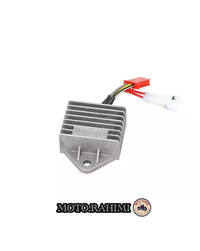 شارژر ویگو کاربرات (اصلی)