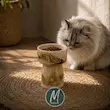 ظرف آب گربه طرح ابر و باد
