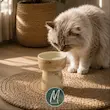 ظرف آب گربه طرح ابر و باد