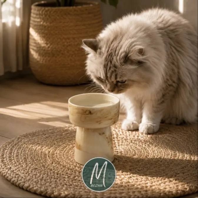 ظرف آب گربه طرح ابر و باد