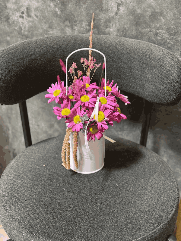 باکس گل بابونه 