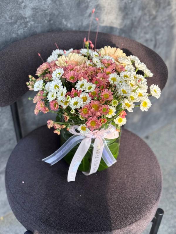 جارگل داوودی دو رنگ 