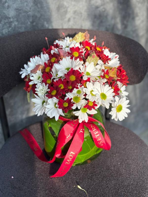 جارگل داوودی سفید و قرمز - مناسب کادو روز زن 