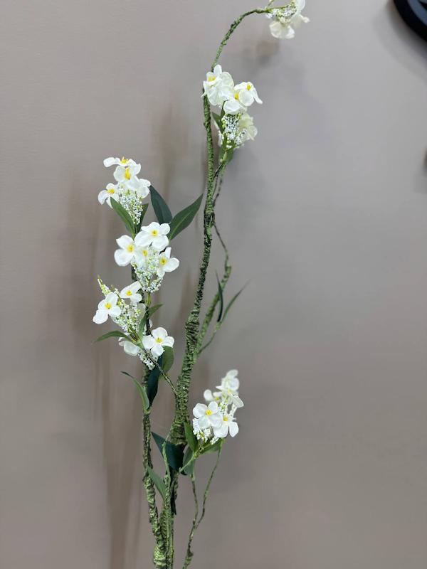 ریشه شکوفه،عید نوروز