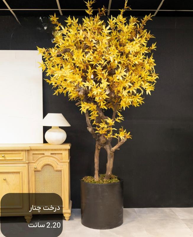 درختچه مصنوعی درخت چنار - ارتفاع ۲ متر و ۲۰ سانت