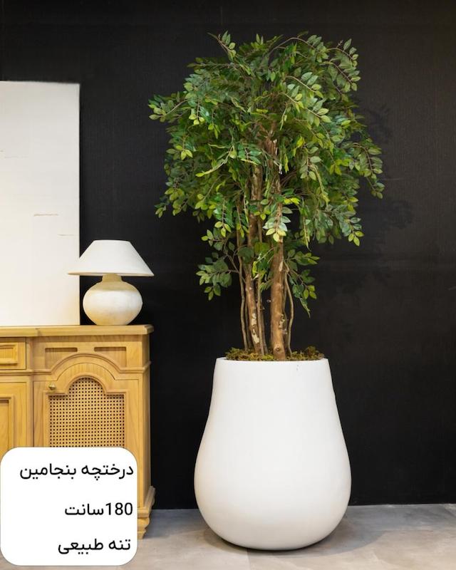 درختچه مصنوعی بنجامین - تنه طبیعی