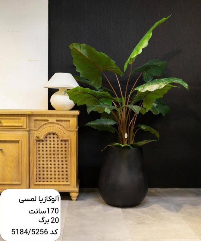 درختچه مصنوعی آلوکازیا - ارتفاع 170 سانتی متر