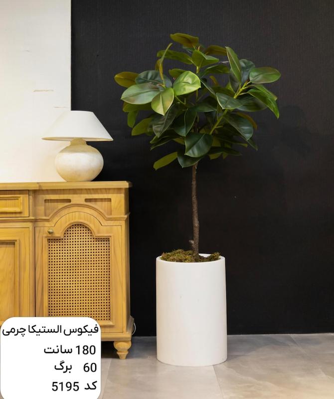 درختچه مصنوعی فیکوس الستیکا چرمی