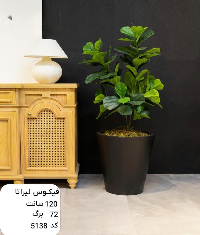 درختچه مصنوعی فیکوس لیراتا- ۱۲۰ سانتی متر
