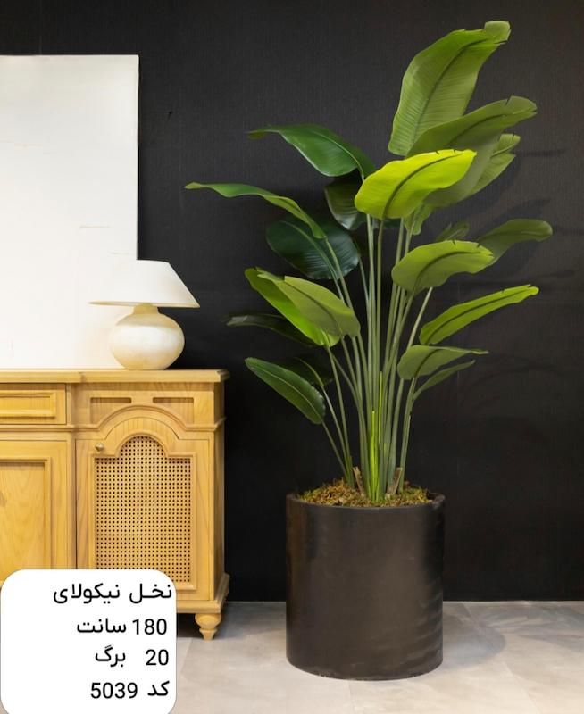 درختچه مصنوعی نخل نیکولای