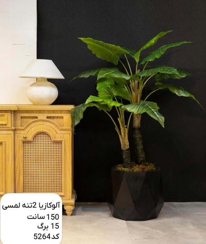 درختچه مصنوعی آلوکازیا دوتنه لمسی